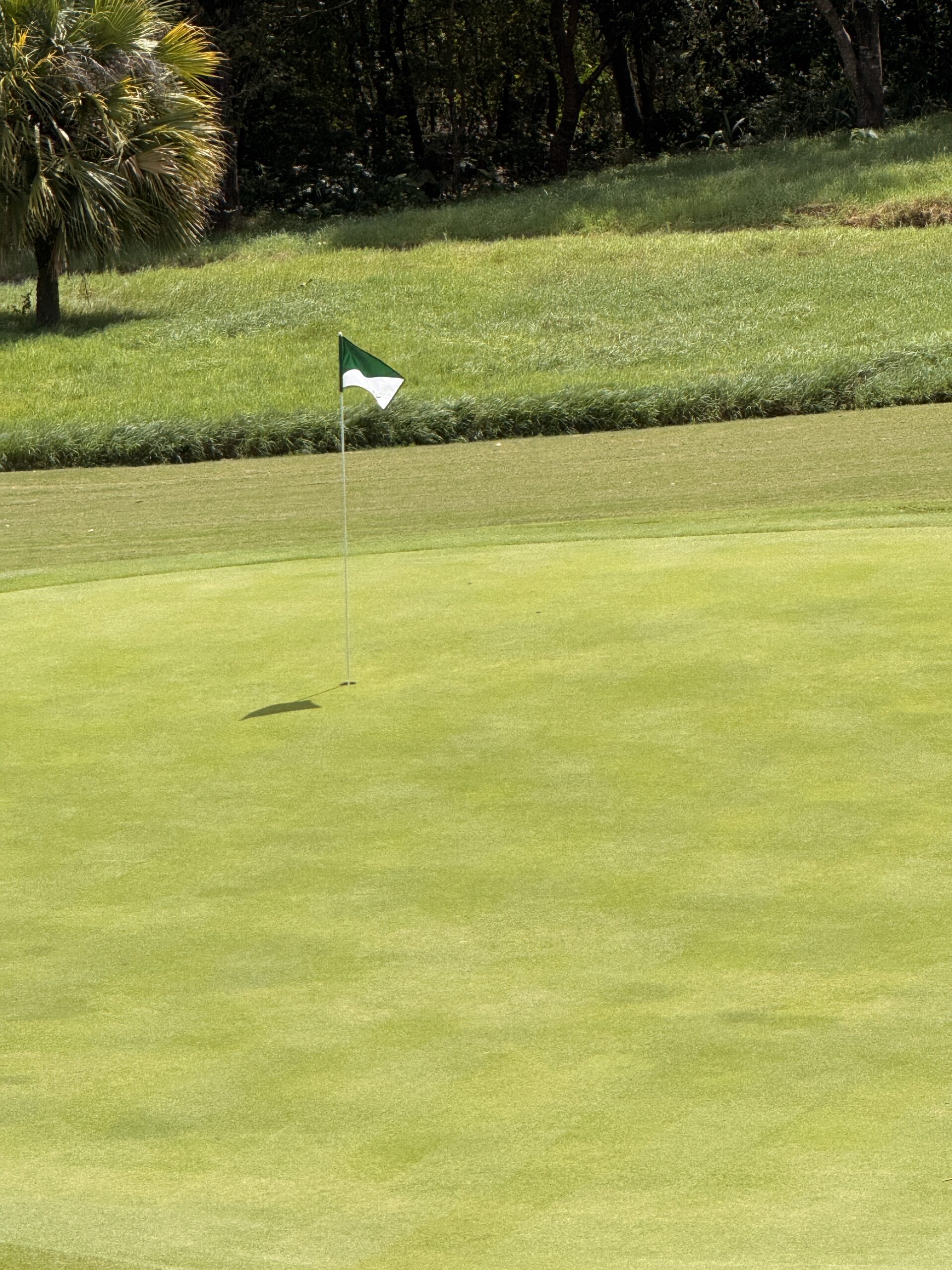 Be Free With The New “Me”